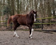 ein Bild aus dem Album