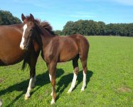 ein Bild aus dem Album