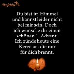 das zu meldende Bild