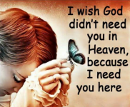 das zu drehende Bild