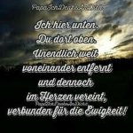 das zu drehende Bild