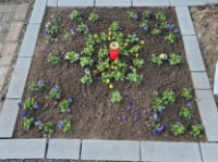 ein Bild aus dem Album